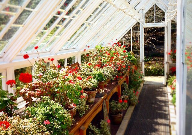 The beautiful Lost Gardens of Heligan