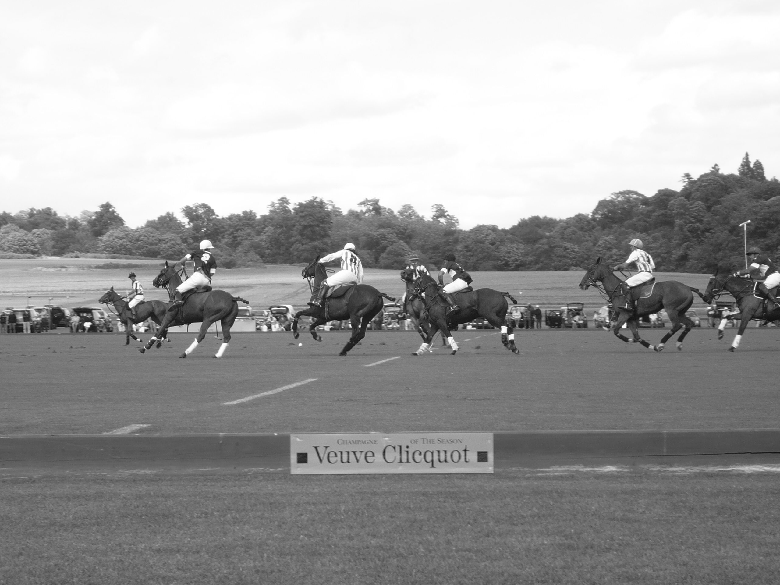 Cowdray Polo - June 2008