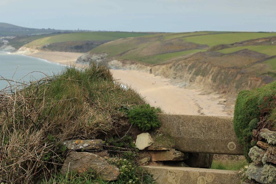 My Cornwall Directory - Travel with Penelope and Parker