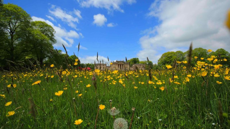 Stourhead blooms and views