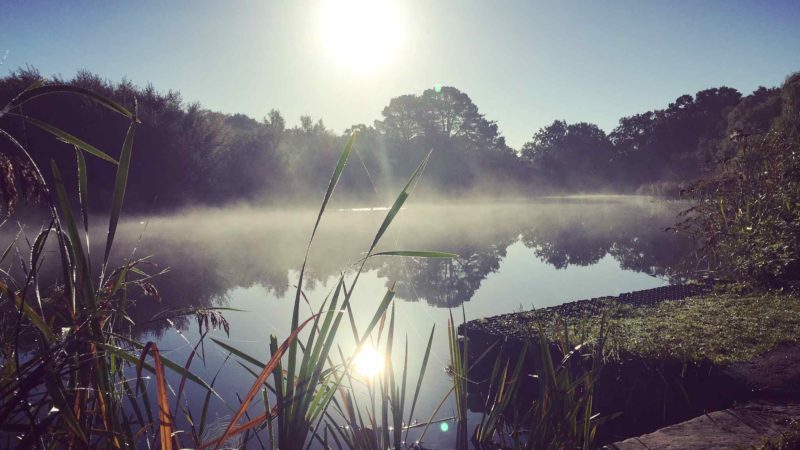 Autumnal loveliness in the UK