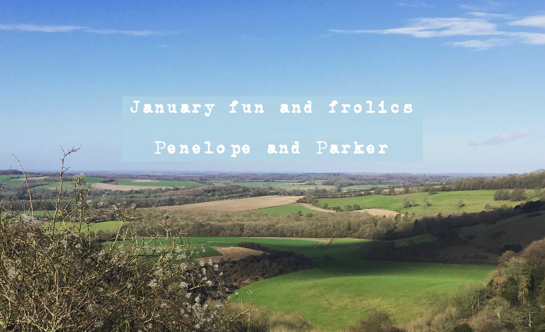 January fun and frolics with Penelope and Parker