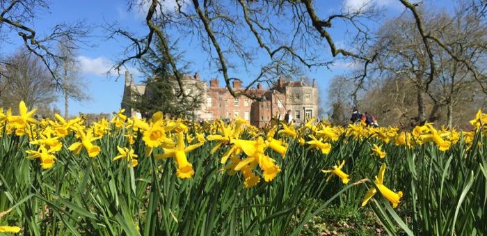 Mottisfont National Trust - Travel with Penelope & Parker