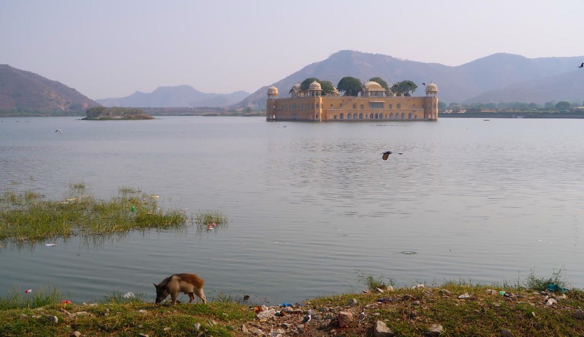 Two days in Jaipur - Travel with Penelope and Parker