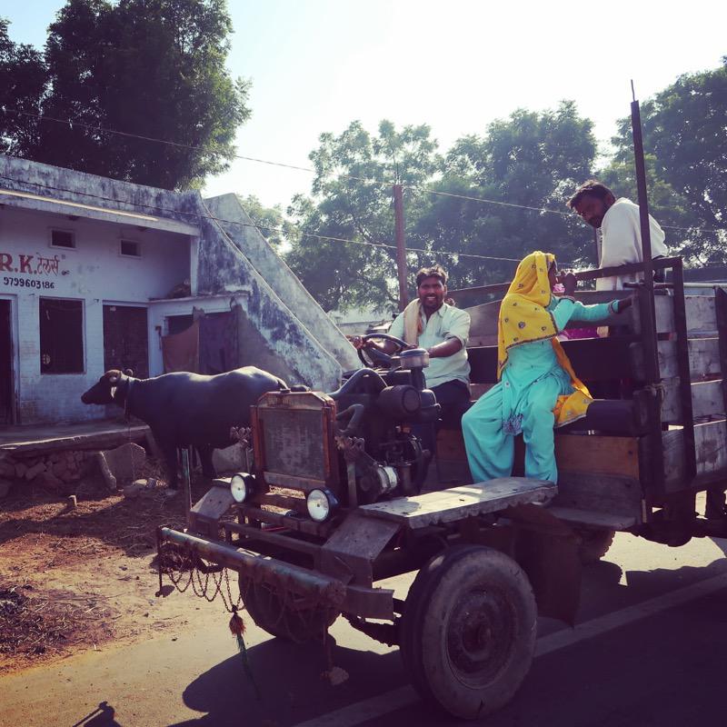 My instagram tour of incredible India - Travel with Penelope and Parker