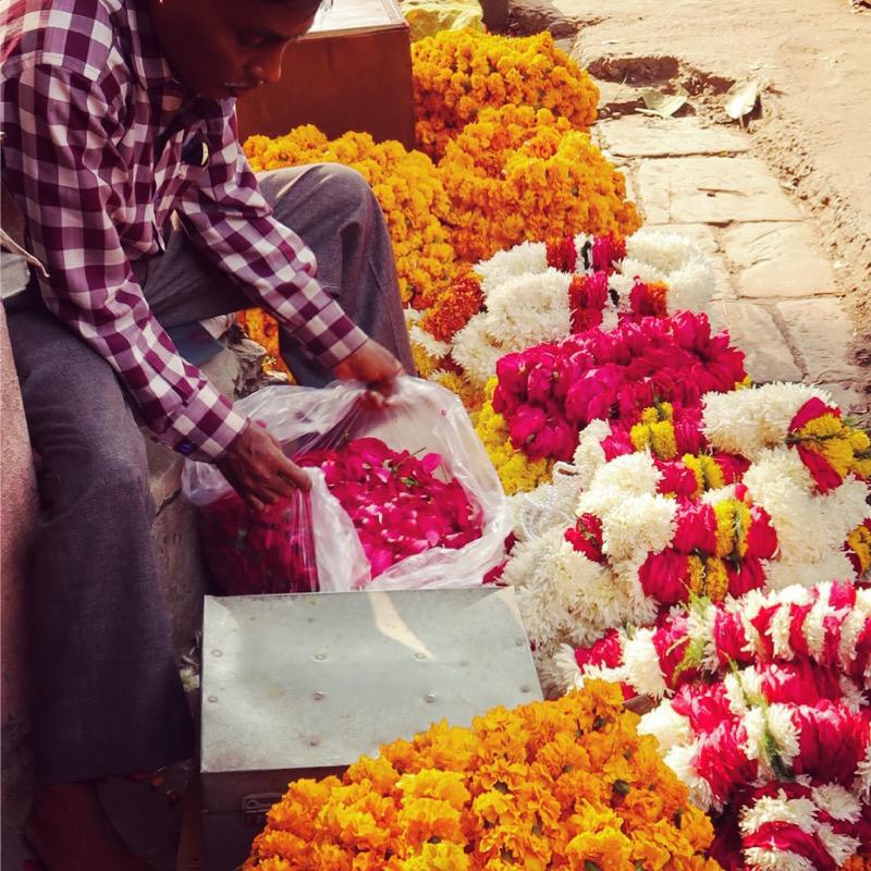 My instagram tour of incredible India - Travel with Penelope and Parker