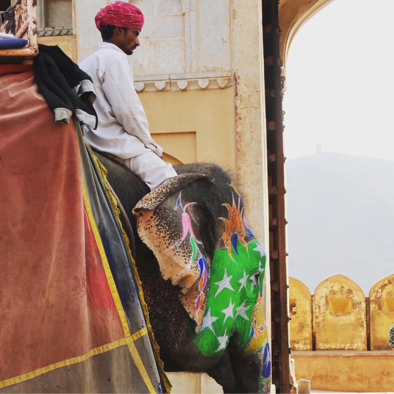 My instagram tour of incredible India - Travel with Penelope and Parker