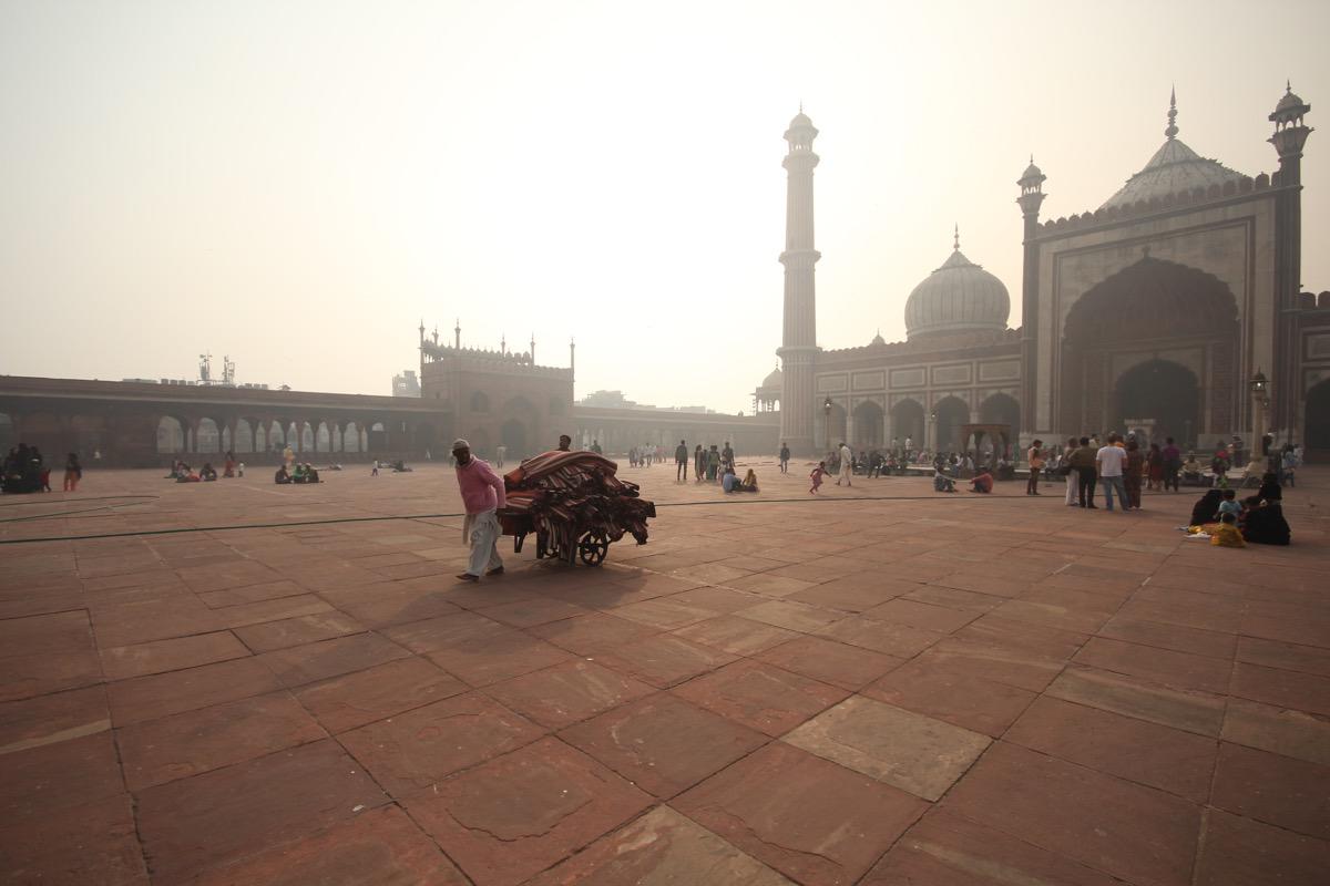 One day in Delhi - Travel with Penelope and Parker