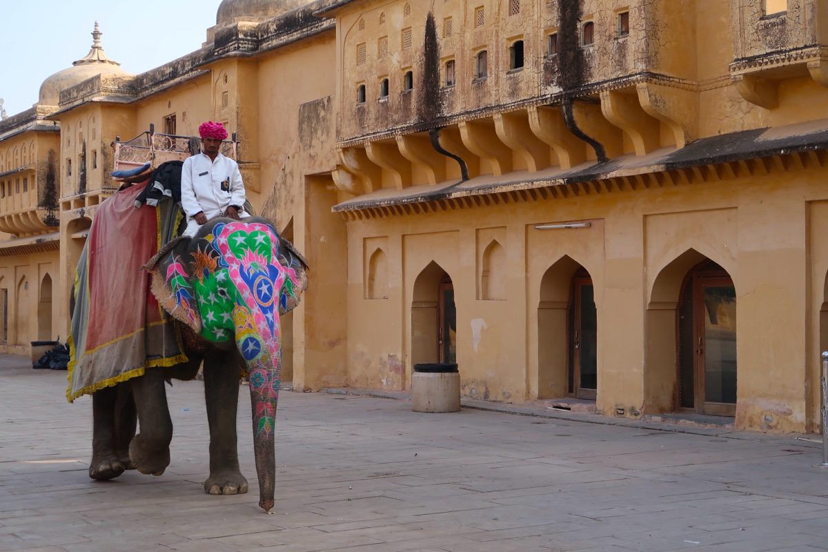 Two days in Jaipur - Travel with Penelope and Parker