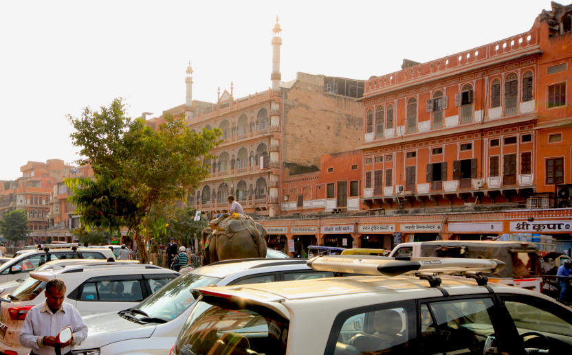 Two days in Jaipur - Travel with Penelope and Parker