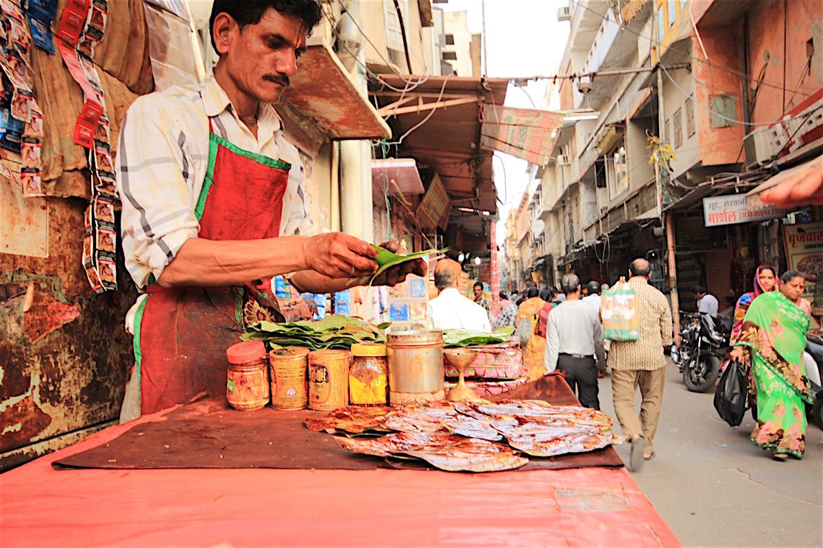 Two days in Jaipur - Travel with Penelope and Parker