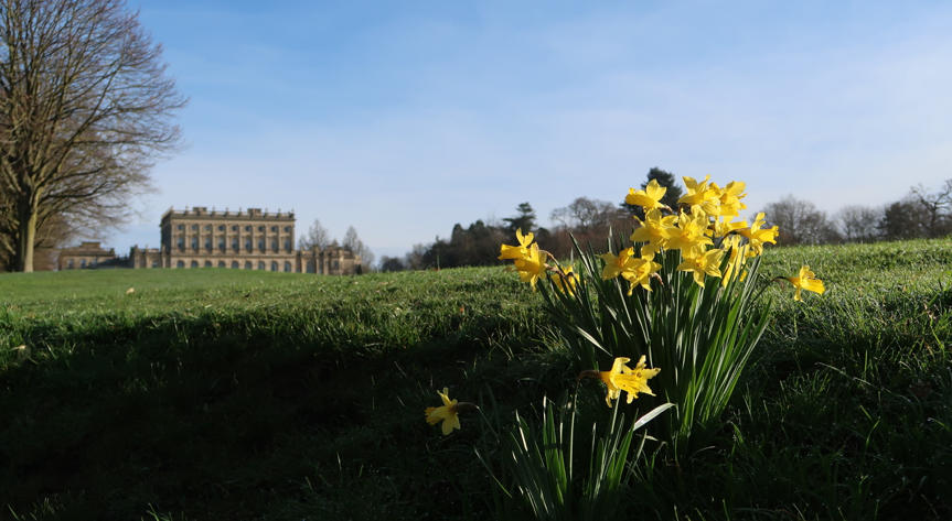 A magical return to Cliveden House - Luxury Hotel Review - Travel with Penelope & Parker