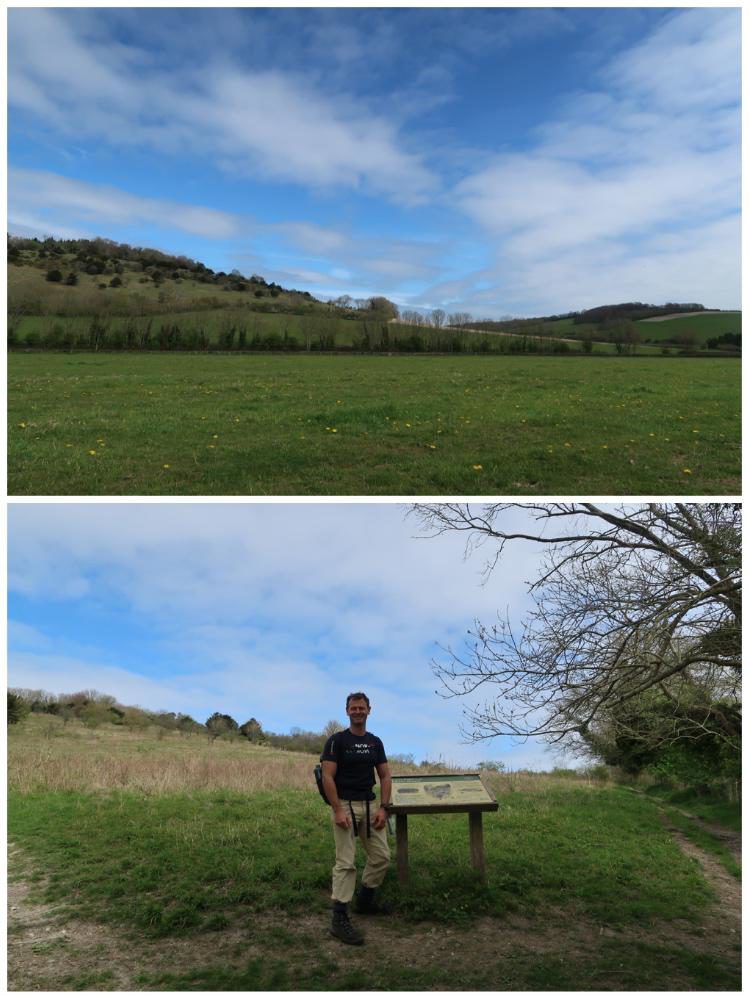 Spring walk: South Downs lambs and bluebells - Travel with Penelope & Parker