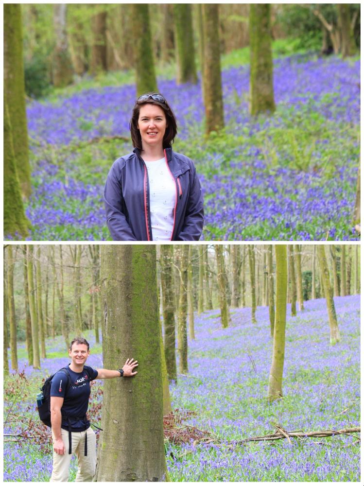 Spring walk: South Downs lambs and bluebells - Travel with Penelope & Parker