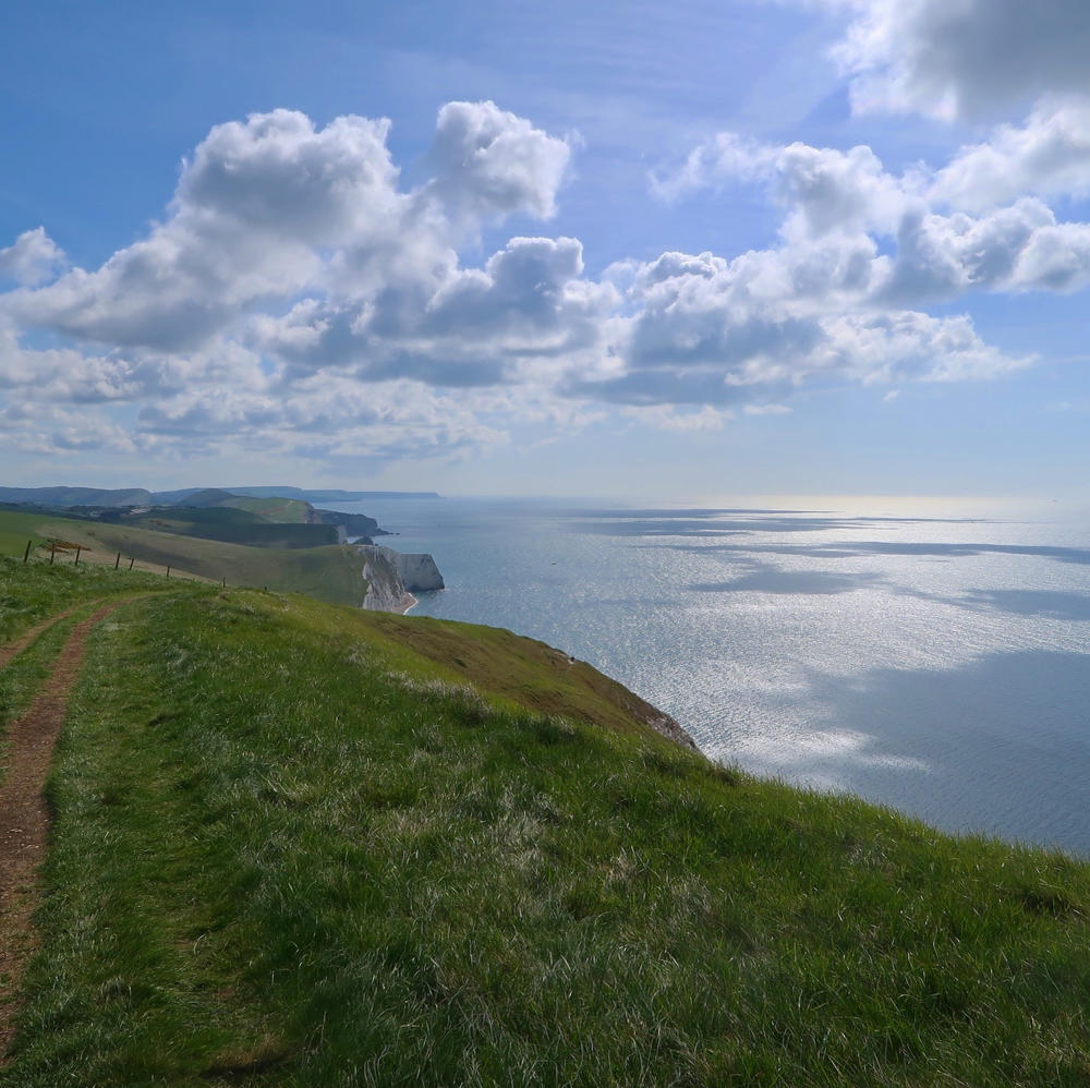 Spring walk: the Purbeck coast - Travel with Penelope & Parker