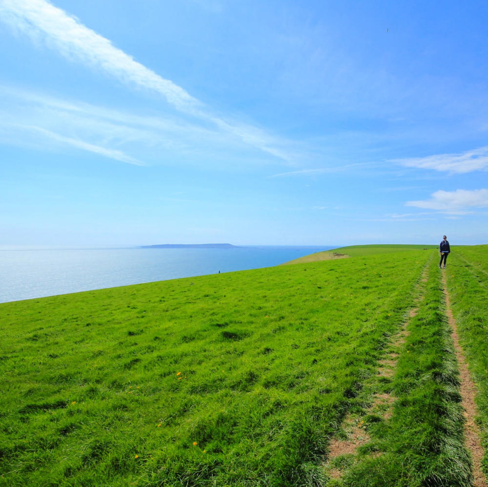 Spring walk: the Purbeck coast - Travel with Penelope & Parker