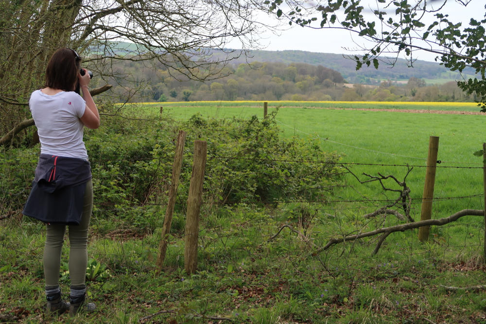 Spring walk: South Downs lambs and bluebells - Travel with Penelope & Parker