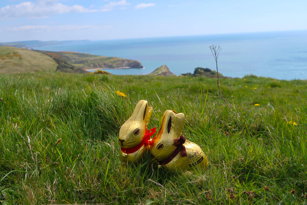 Spring walk: the Purbeck coast - Travel with Penelope & Parker