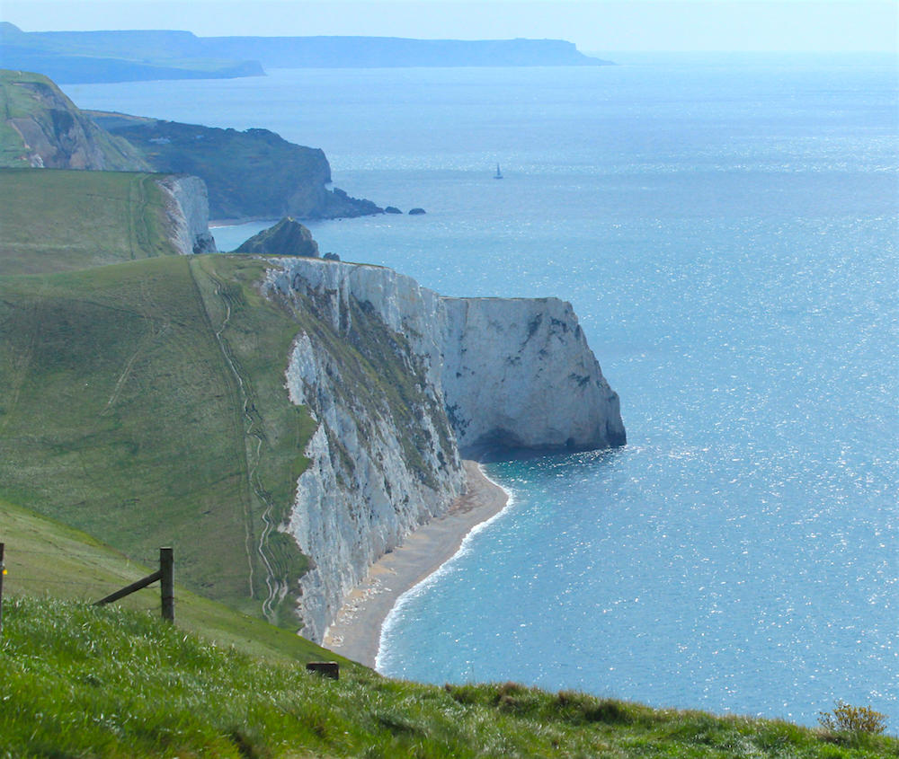 Spring walk: the Purbeck coast