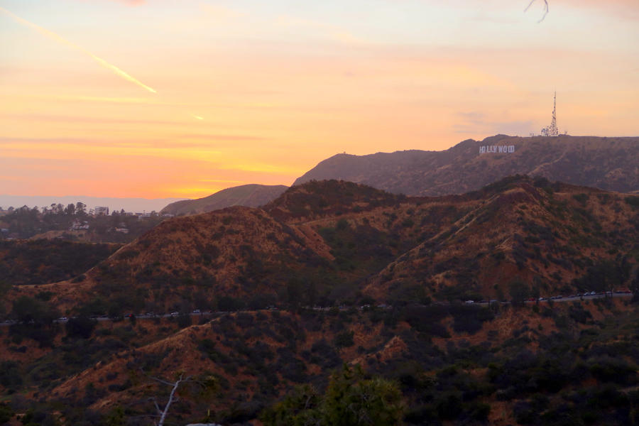 12 hours in: Los Angeles - Travel with Penelope & Parker