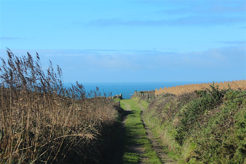 Cornish walks: Porthgwarra to Nanjizal - Travel with Penelope & Parker