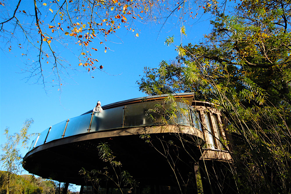 A treehouse retreat: elegance and luxury at the Chewton Glen - Travel with Penelope & Parker