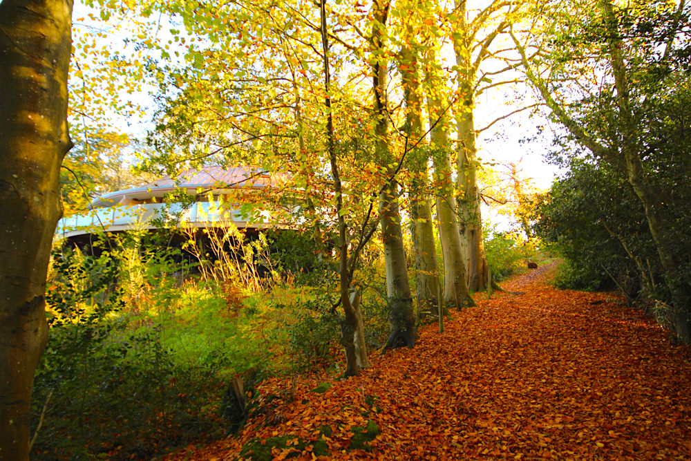 A treehouse retreat: elegance and luxury at the Chewton Glen - Travel with Penelope & Parker