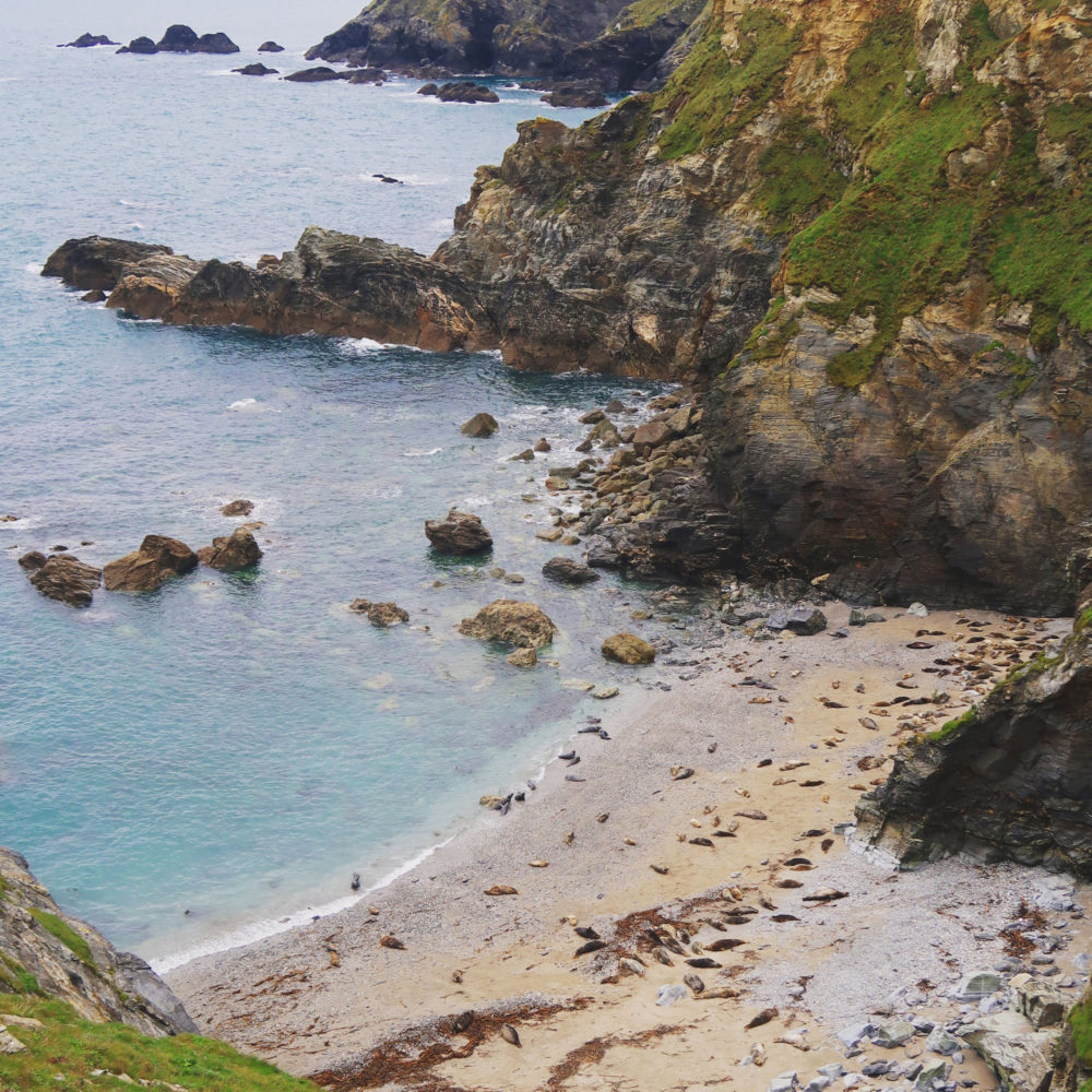 The magical north coast of Cornwall - Travel with Penelope & Parker