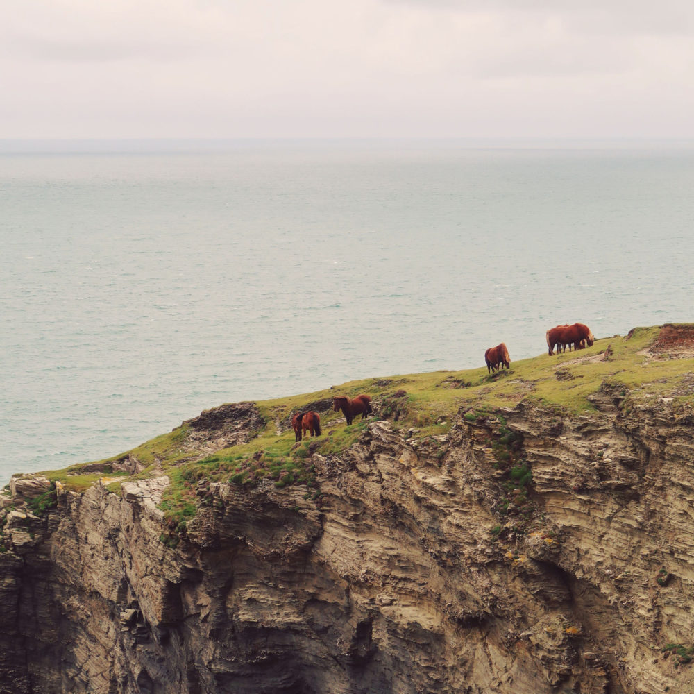 The magical north coast of Cornwall - Travel with Penelope & Parker