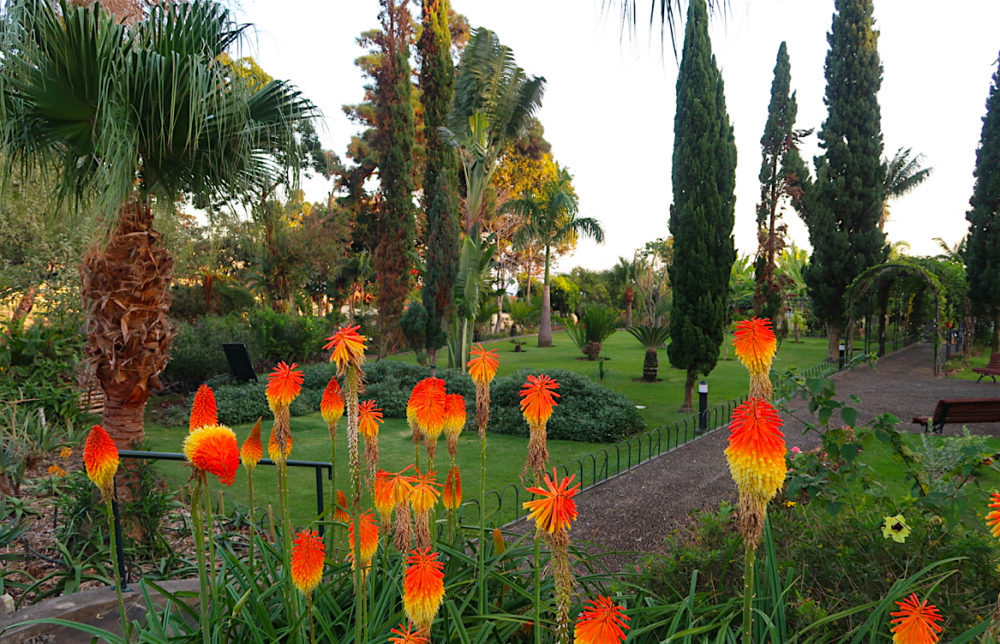 A botanical garden stay at Quinta Jardins do Lago in Madeira - Travel with Penelope & Parker