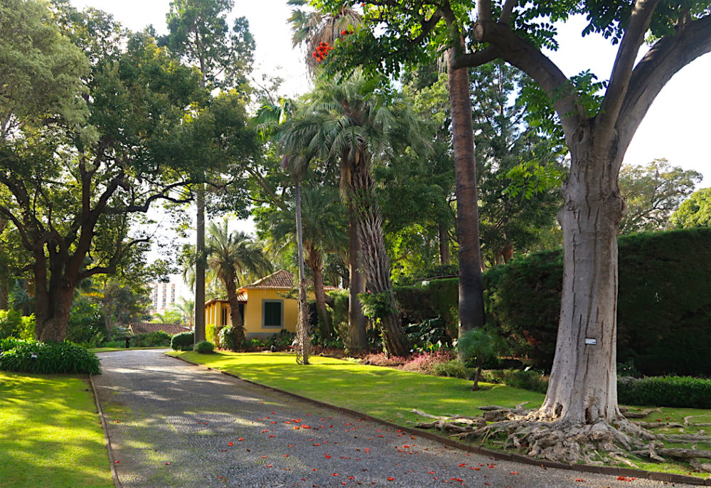 A sublime stay at Quinta da Casa Branca Madeira - Travel with Penelope & Parker