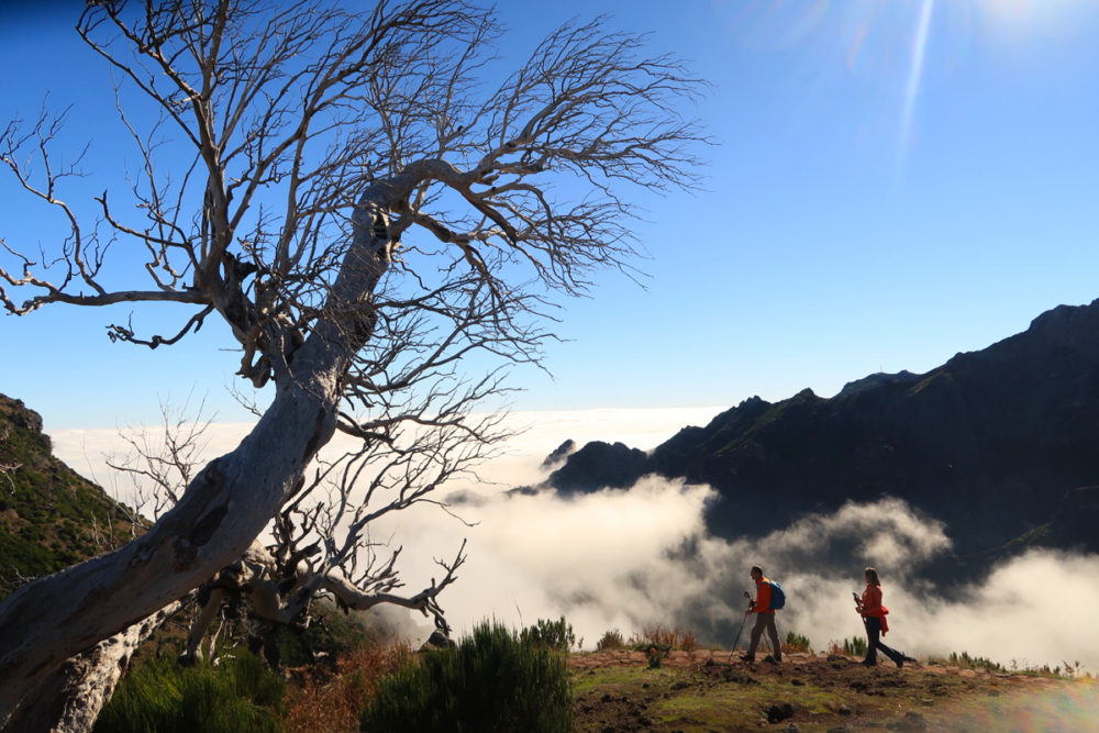 Hiking Madeira: awe-inspiring Pico Ruivo - Travel with Penelope & Parker