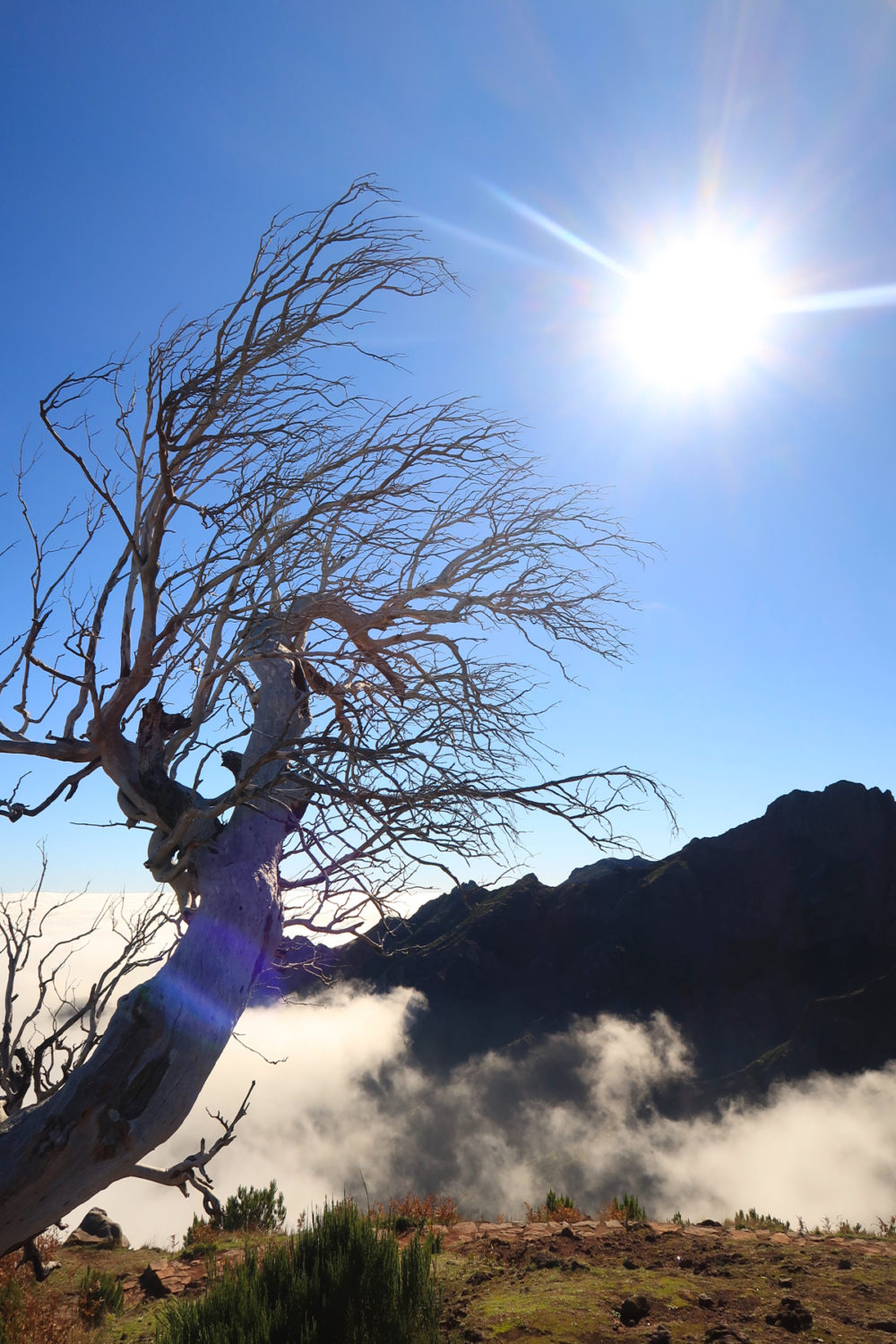 Hiking Madeira: awe-inspiring Pico Ruivo - Travel with Penelope & Parker