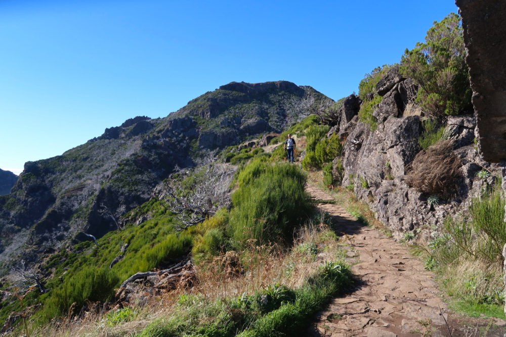 Hiking Madeira: awe-inspiring Pico Ruivo - Travel with Penelope & Parker