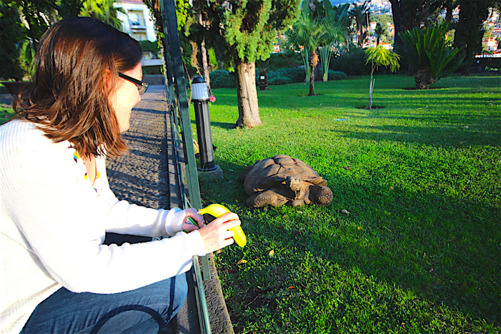 A botanical garden stay at Quinta Jardins do Lago in Madeira - Travel with Penelope & Parker