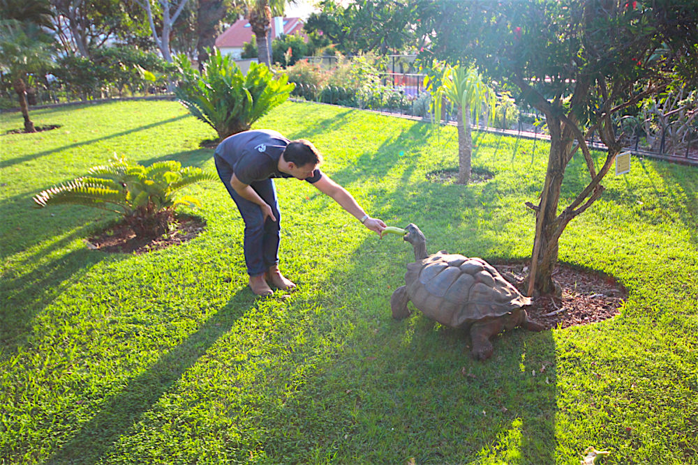 A botanical garden stay at Quinta Jardins do Lago in Madeira - Travel with Penelope & Parker