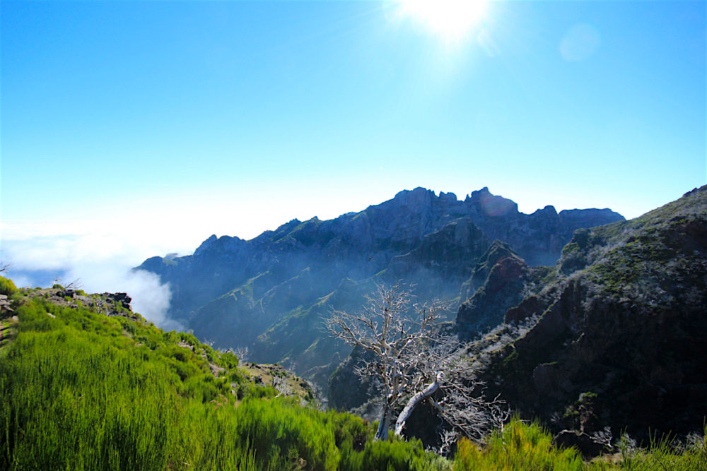 Hiking Madeira: awe-inspiring Pico Ruivo - Travel with Penelope & Parker