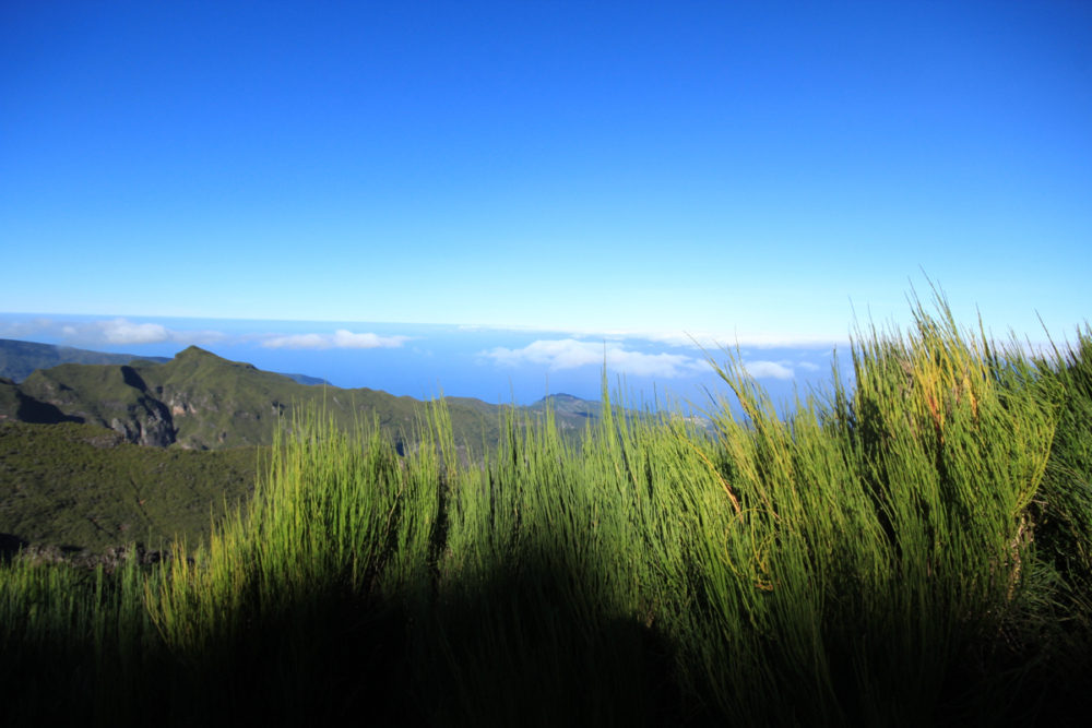 Hiking Madeira: awe-inspiring Pico Ruivo - Travel with Penelope & Parker