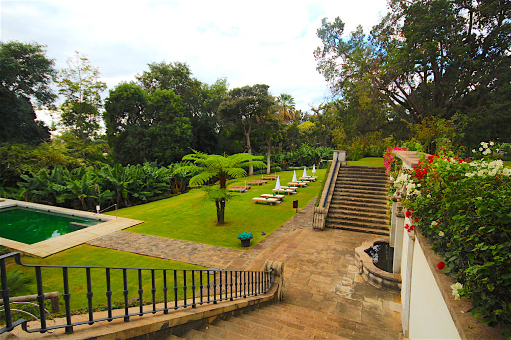 A sublime stay at Quinta da Casa Branca Madeira - Travel with Penelope & Parker