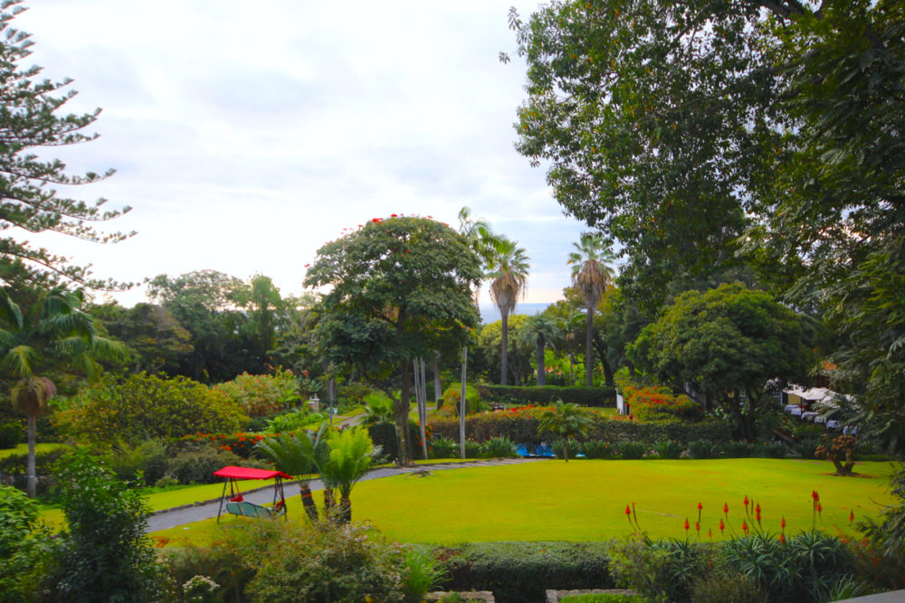 A sublime stay at Quinta da Casa Branca Madeira - Travel with Penelope & Parker