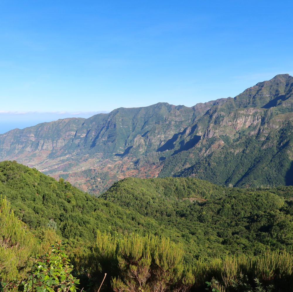 Madeira: 10 great ideas for your visit - Travel with Penelope & Parker