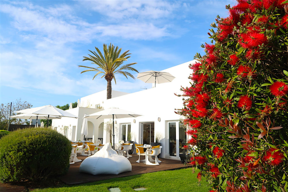 Hotel Review: Vilacampina Guesthouse, the Algarve - Travel with Penelope & Parker