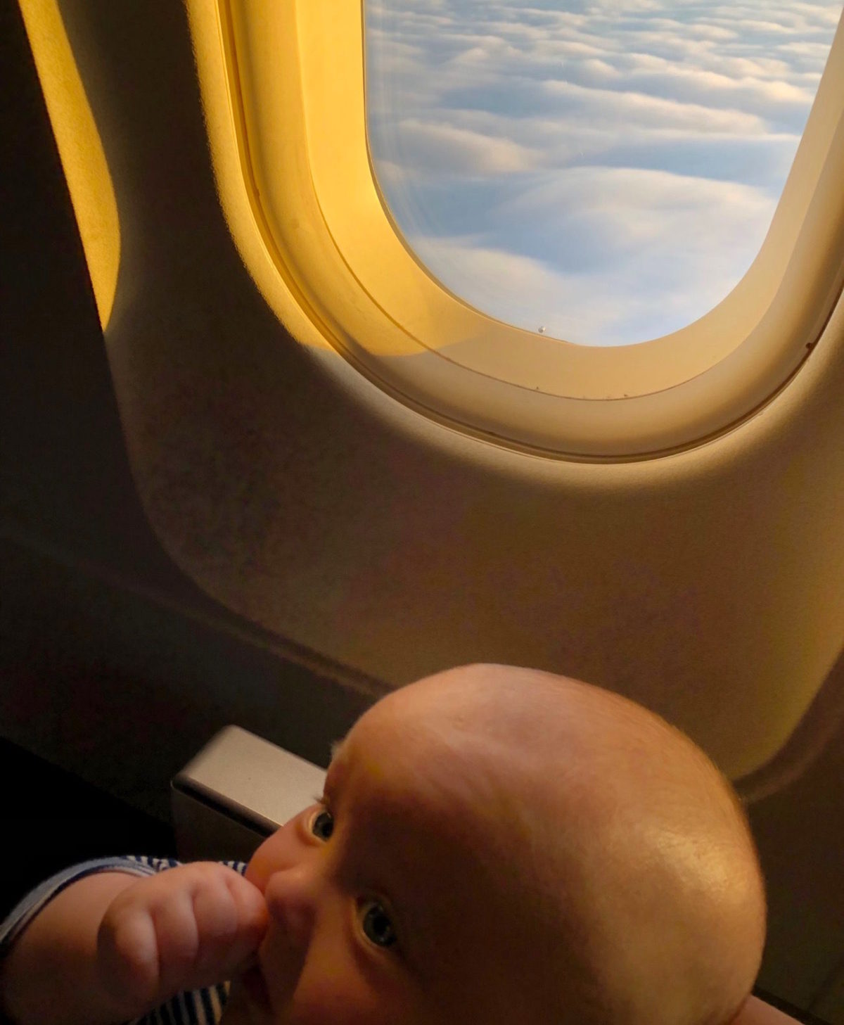 Have baby will travel: flying - Travel with Penelope, Parker & Baby