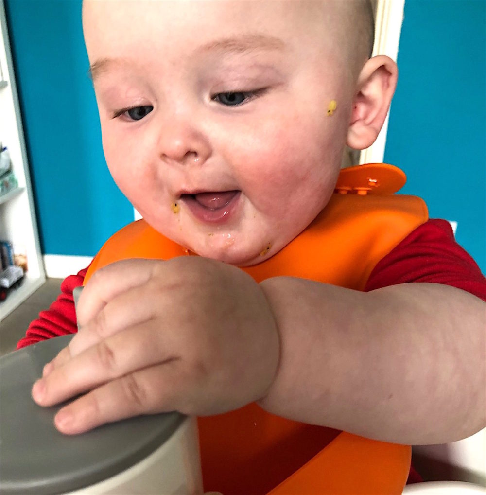 Weaning - early adventures with food - Penelope, Parker & Baby