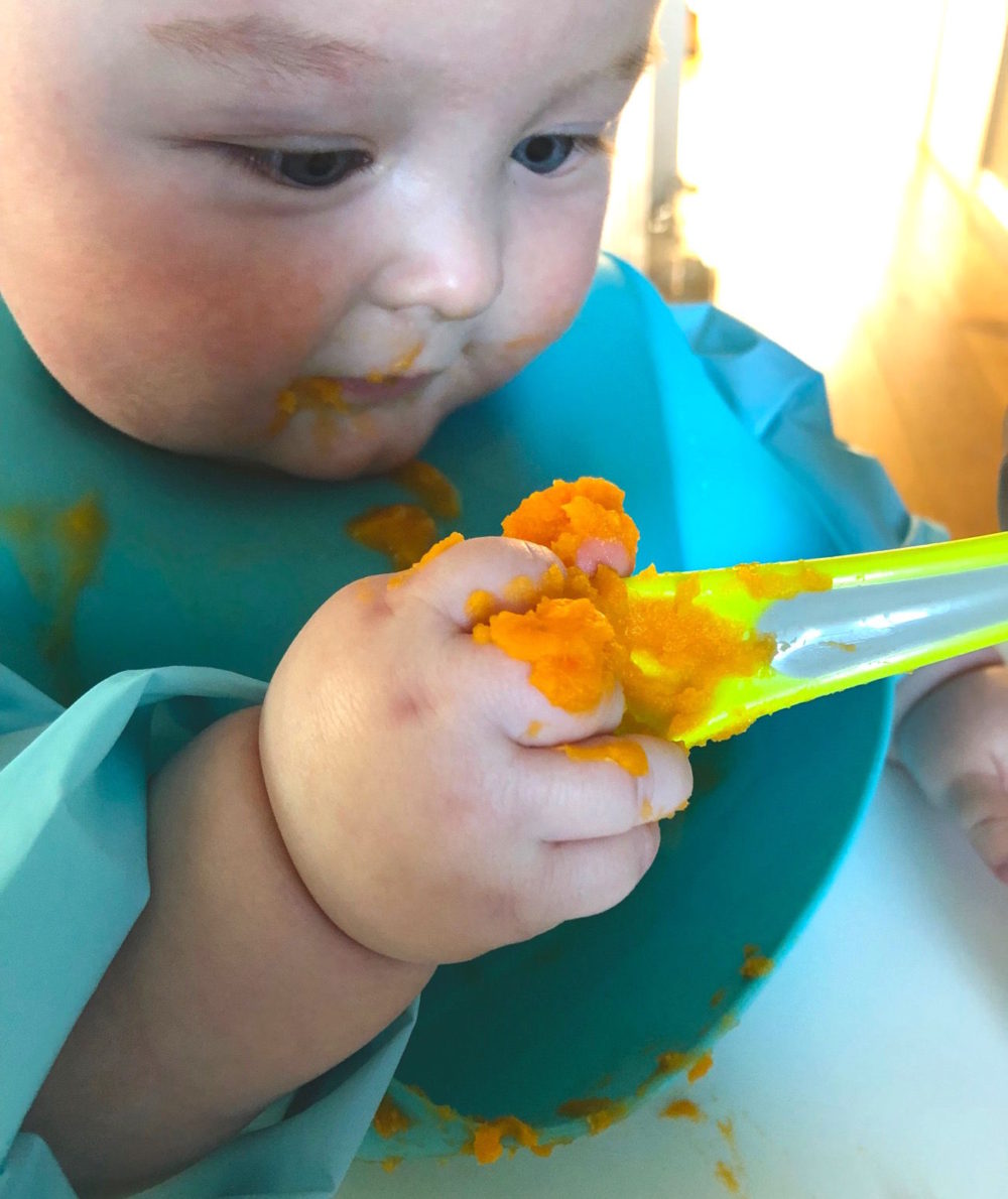 Weaning - early adventures with food - Penelope, Parker & Baby
