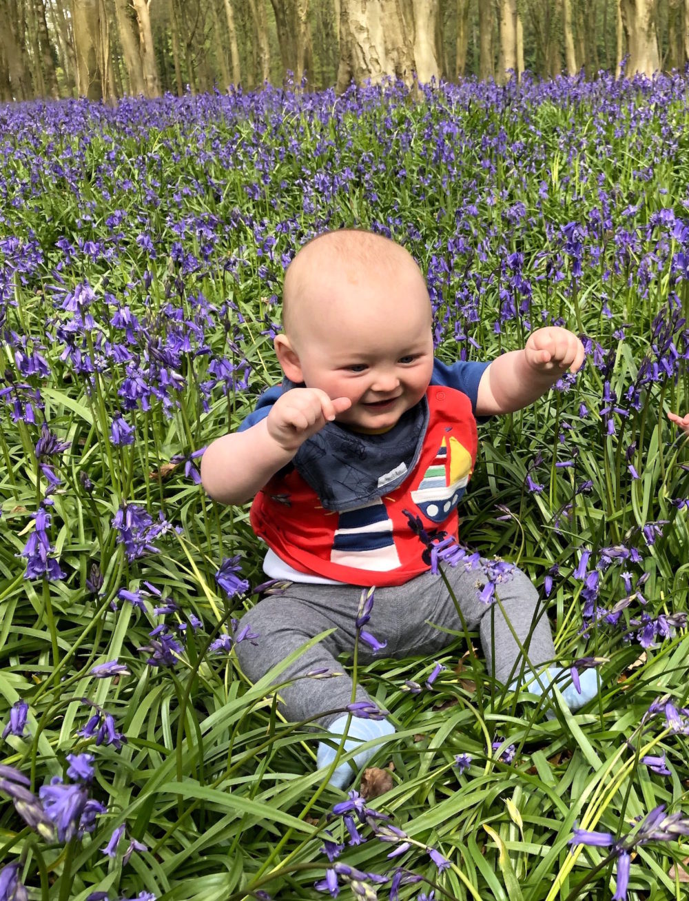 Another day, another bluebell and other Winchester wanderings