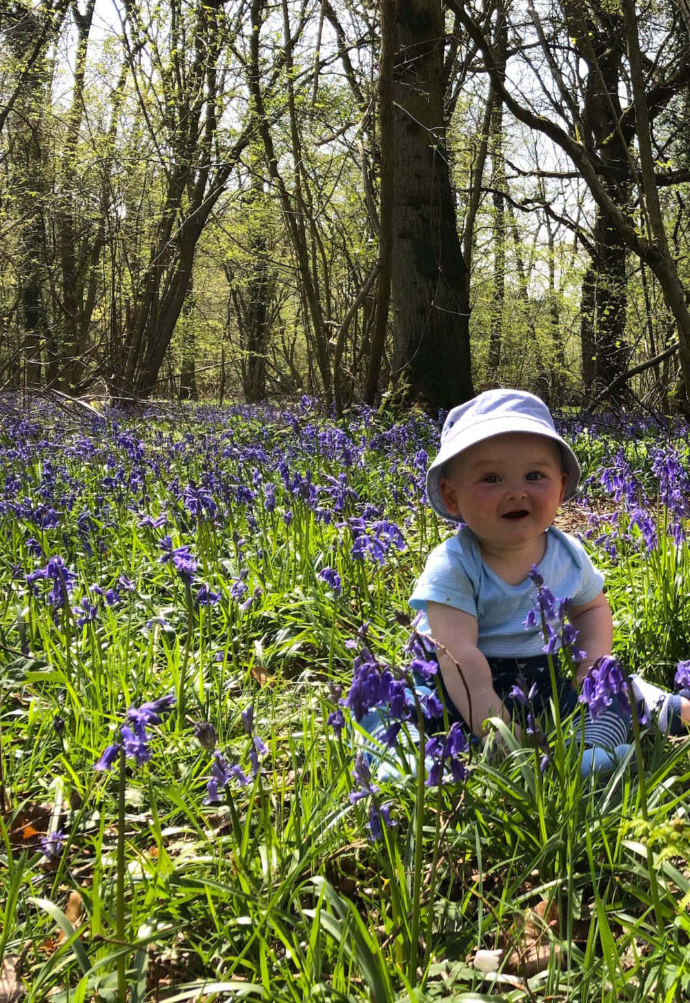 Another day, another bluebell and other Winchester wanderings