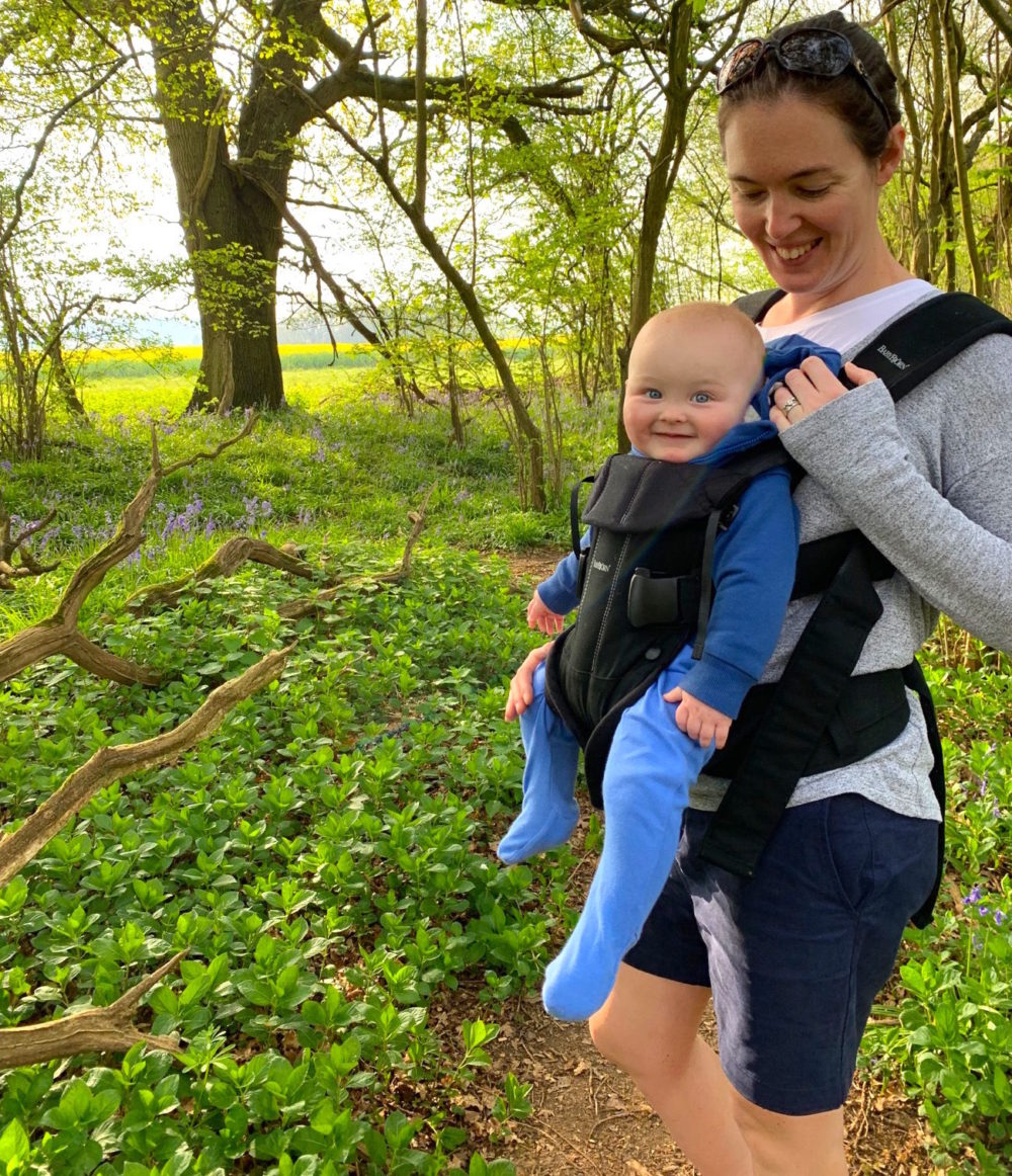 Another day, another bluebell and other Winchester wanderings