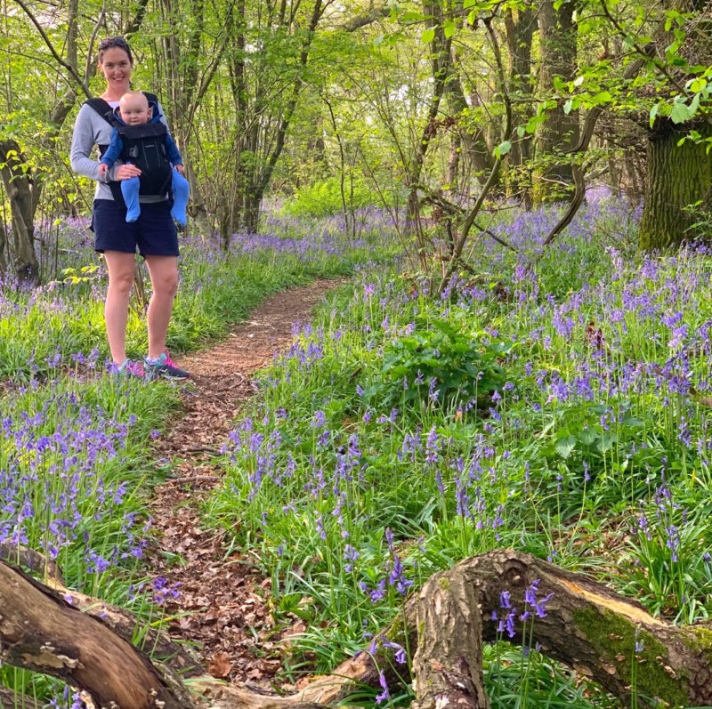 ANOTHER DAY ANOTHER BLUEBELL AND OTHER WINCHESTER WANDERINGS