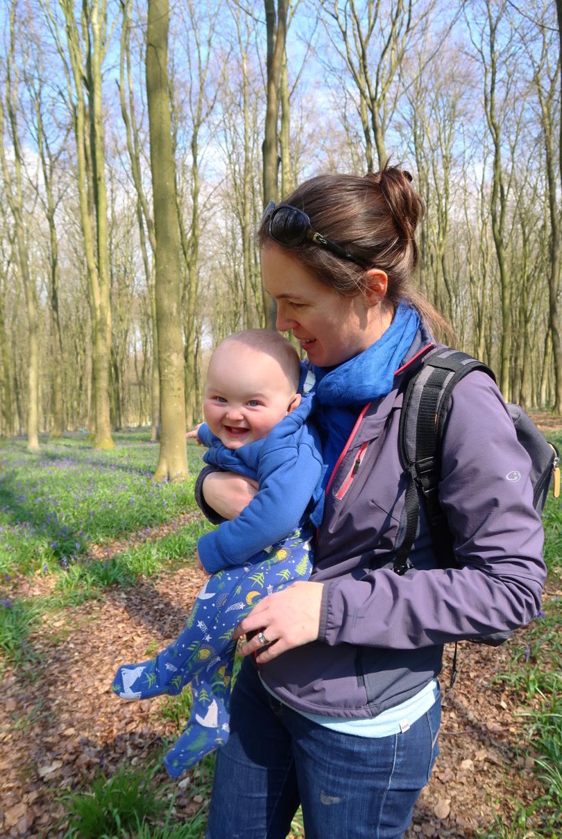 Another day, another bluebell and other Winchester wanderings